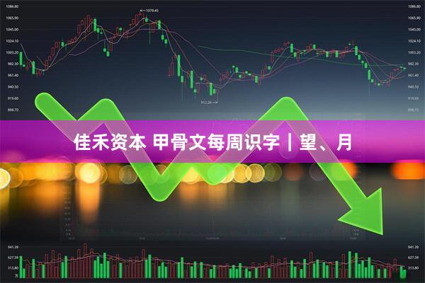 佳禾资本 甲骨文每周识字｜望、月